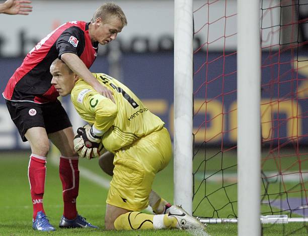 仅展示了上 仅展示了上